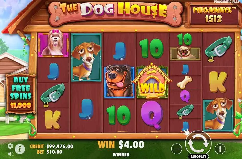 Top 10 Most Played Slot Games at Highbet in May 2025 🎰