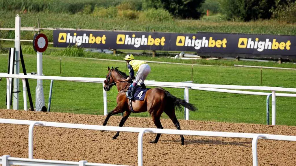 How To Bet On Horse Racing?