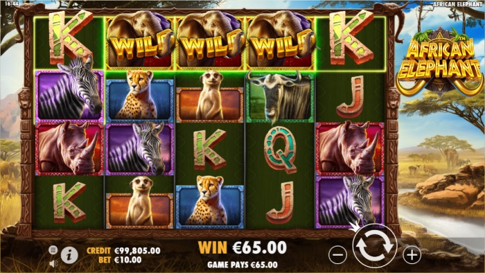 African Elephant Slot Game Review