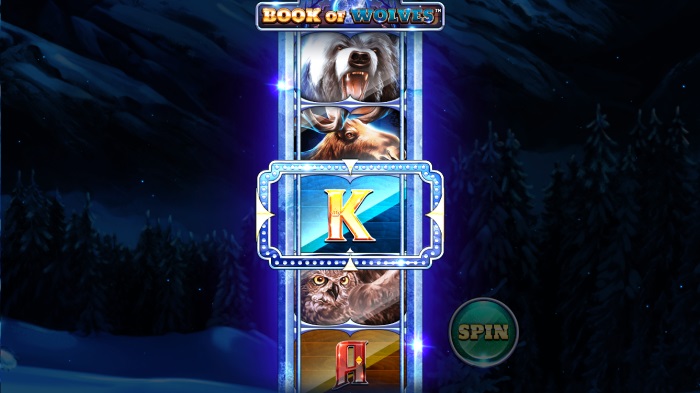 Book of Wolves Slot Game Review