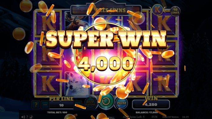 Book of Wolves Slot Game Review