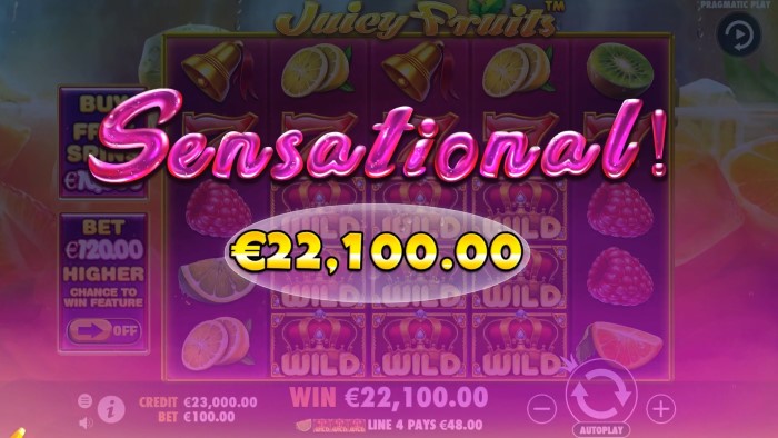 Juicy Fruits Slot Game Review