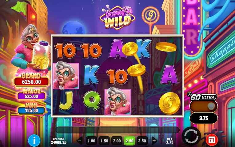 Granny&rsquo;s Wild | Slot Game Review | Play&rsquo;n GO 👵🏻