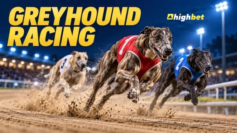 Greyhound Racing at Highbet | 3 Winning Bets 1 Extra Reward